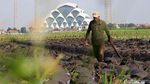 Yok Bisa Yok... Masjid Al Jabar Bandung Tuntas 100 Persen