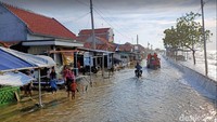 Achmad menyebut tim Tagana juga mengakui gelombang pasang ini lebih besar dibandingkan hari sebelumnya. Akibatnya warga pun tidak bisa beraktivitas melaut.