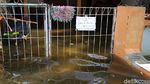 Potret Banjir Rob yang Rendam Pemukiman Warga Pekalongan