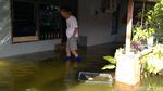 Potret Banjir Rob yang Rendam Pemukiman Warga Pekalongan