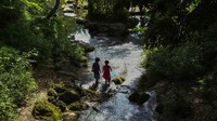 Sungai di Taman Arisugawa, Tokyo, juga menjadi destinasi bagi para anak-anak. Lokasi tersebut sangat rimbun dan asri.