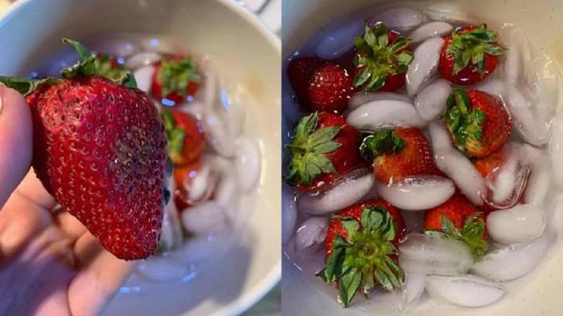 Tips Agar Apel Tak Berubah Warna Ketika Dipotong