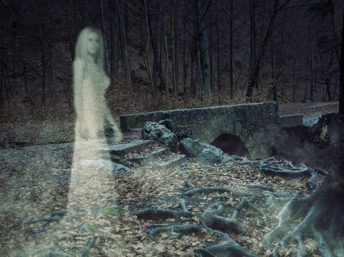 3D Illustration of the ghost of a woman in an ancient forest.