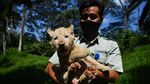 Melihat Tingkah Lucu Gisel yang Imut dan Menggemaskan