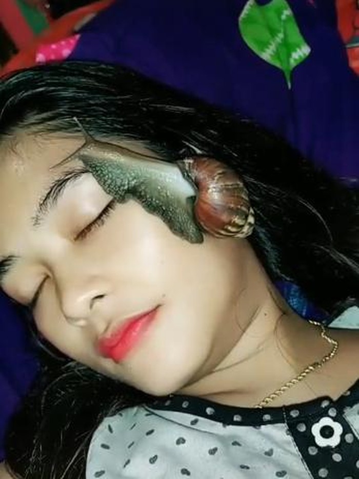 siput cantik
