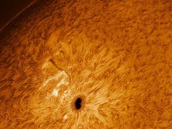 Langka! Foto Detail Permukaan Matahari