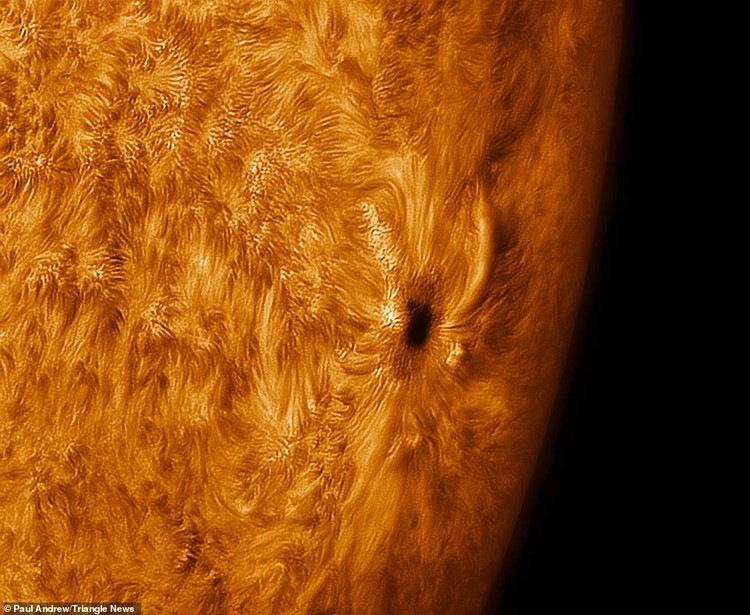 foto matahari detail