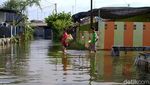 Ribuan KK Terdampak Banjir Rob di Kota Pekalongan