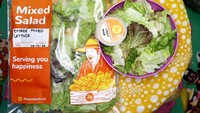 Salad dari Microherbs Indonesia didominasi dengan isian daun selada. Saladnya dikemas dalam plastik berukuran besar. Foto: Instagram @inthan_amelia