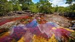 Intip Cano Cristales, Sungai Tercantik di Dunia