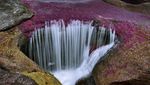 Intip Cano Cristales, Sungai Tercantik di Dunia