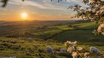 Terhipnotis Indahnya Air Terjun Berkabut di Dorset Inggris