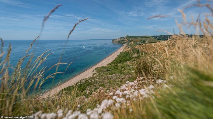 Fotografer dari Dorset, Inggris, memamerkan lansekap menakjubkan untuk mendorong wisatawan berlibur saat pandemi Corona berakhir. Penasaran?
