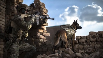 Juara pertama kategori Combat Documentation Operational. Karya Hille Hillinga. Operator pasukan komando Korps Belanda sedang memindai lingkungan bersama anjingnya di Afghanistan. Foto: The Military Visual Awards