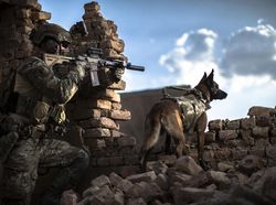 Karya Jawara Kontes Foto Militer Bikin Terkesima