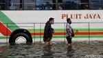 Banjir Rob Terjang Muara Baru