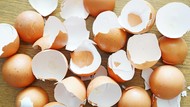 Cangkang Telur Punya Banyak Manfaat, Tapi Bagaimana Cara Konsumsinya?
