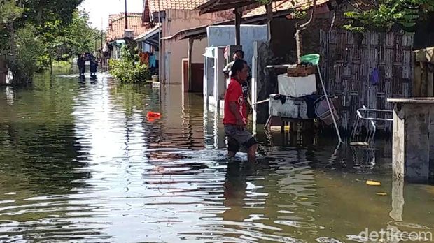 Kondisi banjir rob di Kota Pekalongan, Jawa Tengah hingga siang ini belum juga surut. Warga ramai-ramai mengevakuasi harta bendanya dari rumah.