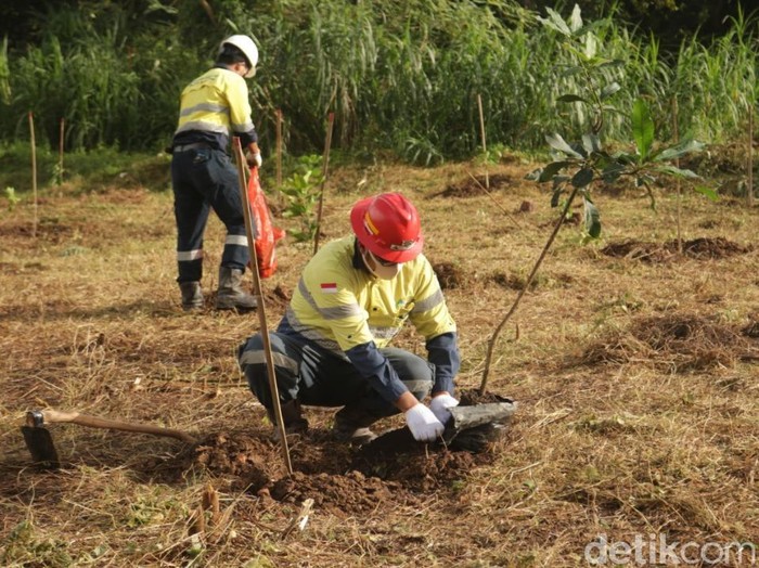 Pemkab Banyuwangi Apresiasi Operator Tambang Tetap Jaga Lingkungan Hidup