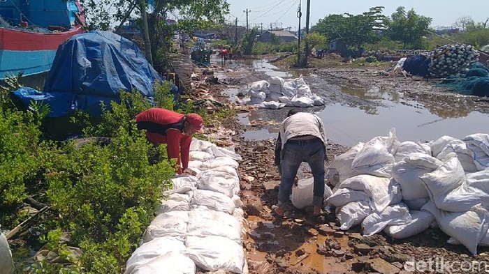 Petugas memasang karung berisi pasir di area banjir rob Pantura