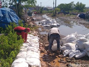 Antisipasi Banjir Rob Susulan Makin Tinggi, Pemkot Pekalongan Lakukan Ini