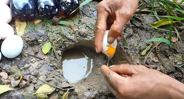 Umpan Unik Untuk Pancing Ikan