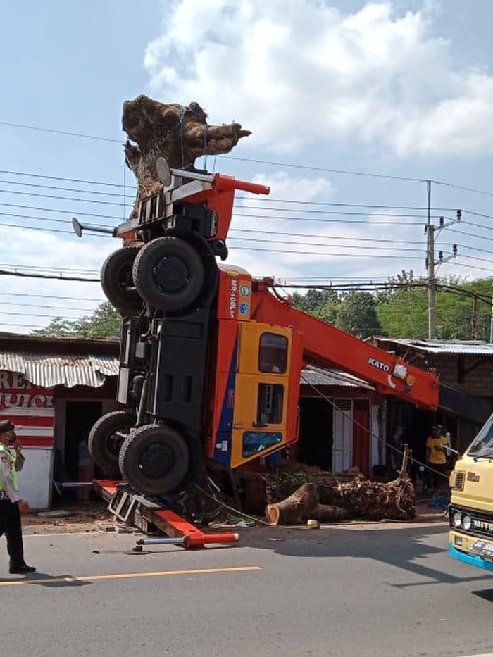 viral crane terjungkal