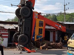 Crane Terjungkal di Malang Dikaitkan dengan Mistis Pohon, Ini Kata Camat
