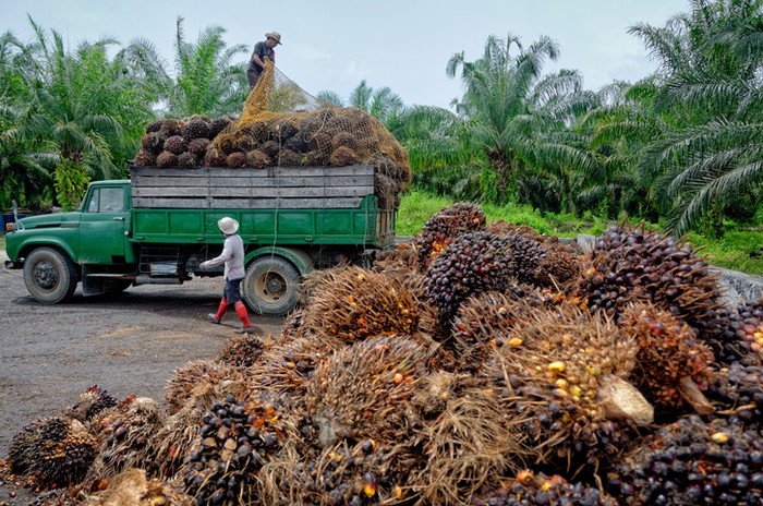 Barter Makanan -