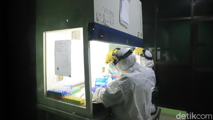 Hanya 8.776 Sampel Corona yang Diperiksa, Jubir Sebut karena Lab Libur