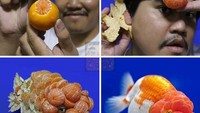 Mau cosplay jadi ikan, Cha gunakan puluhan jeruk yang ia kupas kulitnya hingga permukaannya menyerupai kulit ikan yang bergelembung. Foto: Instagaram @lowcost_cosplay