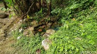 Di pinggirnya dikelilingi batu yang telah berlumpur berukuran sedang. Air yang dihasilkan cukup jernih meski di permukaannya dipenuhi dedaunan kering yang jatuh.