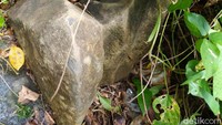 Beberapa baru di pinggir lokasi sumur unik di Ciamis juga nampak menyerupai berbagai bentuk. Salah satunya batu berbentuk kepala katak bangkong. Namun tak bisa dipastikan itu peninggalan bersejarah atau bukan. Sementara itu, Kepala Dusun Majaprana Hilman Somantri membenarkan adanya 7 sumur tersebut. Namun selama ini tak banyak mengetahuinya. Warga hanya mengetahui 1 sumur yang ukurannya cukup besar. Dimanfaatkan untuk pengairan sawah dan untuk keperluan air bersih terutama saat kemarau. 