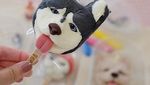 Gemas! Es Krim Ini Berbentuk Kucing dan Anjing Mungil