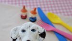 Gemas! Es Krim Ini Berbentuk Kucing dan Anjing Mungil
