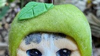 Nah kalau yang ini kucingnya mengenakan topi berbentuk apel. Es krim hewan ini ternyata menarik banyak perhatian, tak sedikit orang yang rela antre demi mendapatkan es krim mungil ini.  Foto: instagram @icedea_icecream
