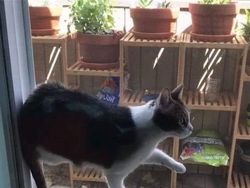 Kumpulan Foto Lucu yang Lihatnya Harus Berkali-kali