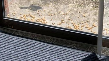 Ikannya keluar dari air? (Foto: Brightside)