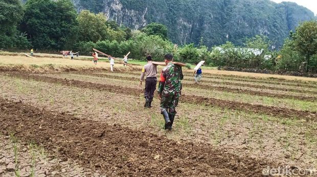 Gubuk reyot yang ditinggali nenek Hadi (70) di Maros, Sulsel, akhirnya direnovasi (M Bakrie/detikcom)