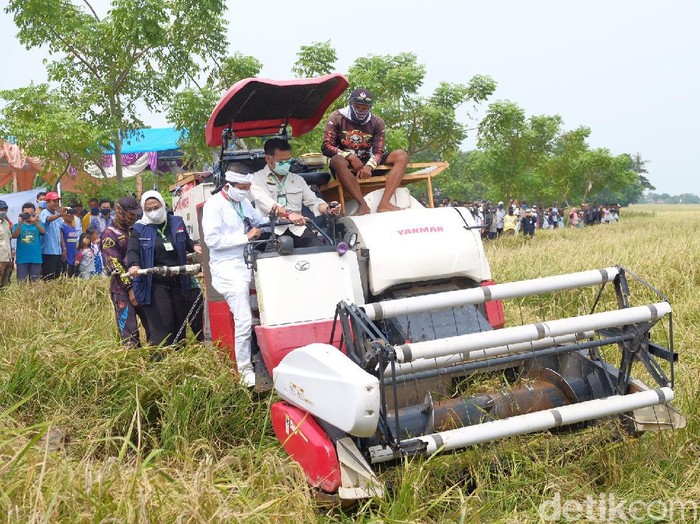 Menteri Pertanian Syahrul Yasin Limpo memanen padi menggunakan alat pemanen saat panen raya di Cilamaya Karawang.