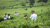 PSBB di Kabupaten Bogor ini diketahui tengah dalam fase PSBB parsial, yakni sebagian wilayah yang memiliki kasus besar tetap diwaspadai.