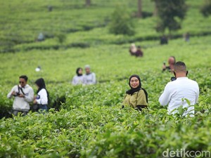 9 Perbedaan Liburan Setelah Pandemi COVID-19 dari Para Ahli
