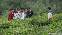 Data Dinkes Kota Bogor per 3 Juni 2020 menunjukan angka penambahan kasus positif berdasarkan laporan penerimaan hasil swab antara lain PSBB I (15 April-28 April) terjadi penambahan 18 kasus, PSBB II (29 April-12 Mei) terjadi penambahan 16 kasus, PSBB III (13 Mei-26 Mei) terjadi penambahan 13 kasus, dan PSBB transisi fase I (27 Mei-3 Juni) ada penambahan 2 kasus.