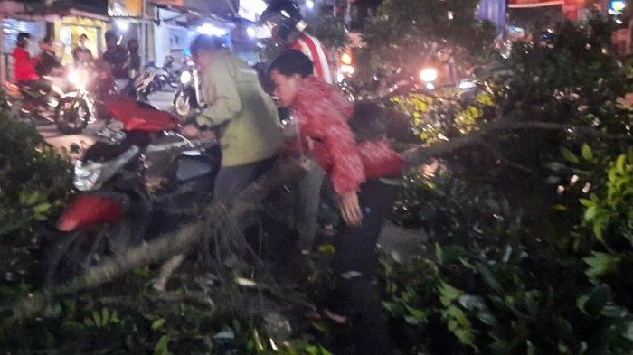 Truk Tabrak Pohon di Sukabumi