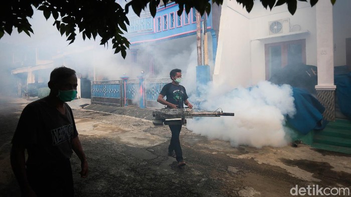 Upaya Cegah Demam Berdarah di Tengah Pandemi Jumlah kasus penyakit Demam Berdarah Dengue (DBD) di Indonesia terus meningkat di tengah pandemi Corona.