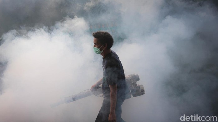 Upaya Cegah Demam Berdarah di Tengah Pandemi Jumlah kasus penyakit Demam Berdarah Dengue (DBD) di Indonesia terus meningkat di tengah pandemi Corona.
