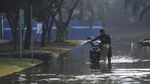 Banjir Rob Rendam Perumahan di Utara Jakarta