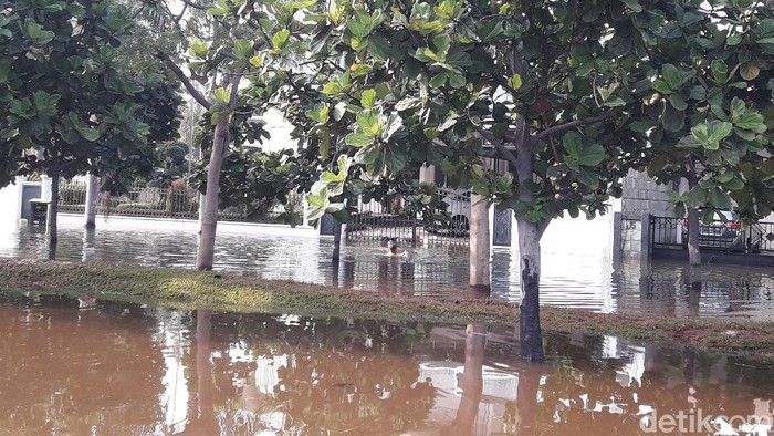 Lurah Pluit 4 RW Terdampak Akibat Banjir Rob, 55 KK Mengungsi