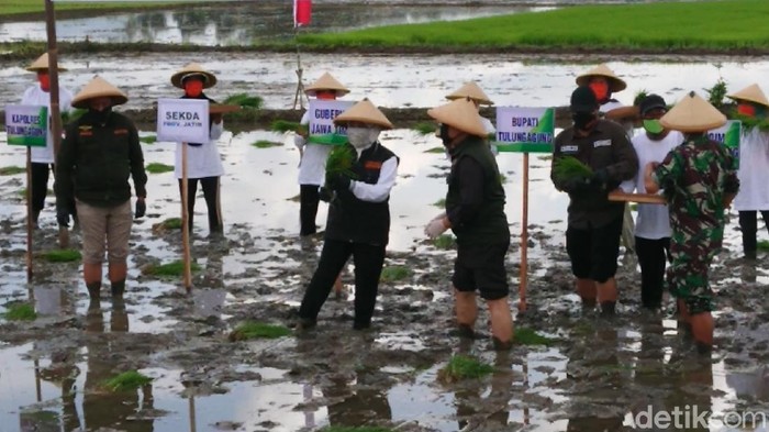 Gubernur Khofifah meninjau masa tanam di  Tulungagung,