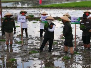 Genjot Stok Pangan Nasional, Jatim Percepat Masa Tanam Padi